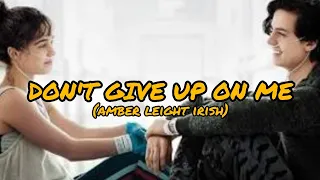 Don't Give Up on Me (cover-Amber Leigh Irish) Lyrics