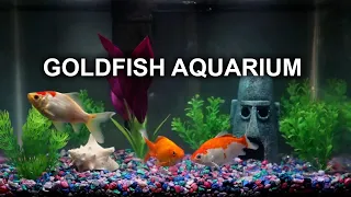 GOLDFISH AQUARIUM | 8 HOURS | RELAXING | NO MUSIC