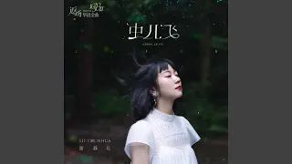 虫儿飞