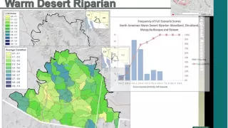 Webinar: Madrean Archipelago Rapid Ecoregional Assessment