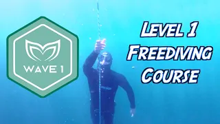 What Goes On In A Freediving Course? Level 1 Freediving Certification