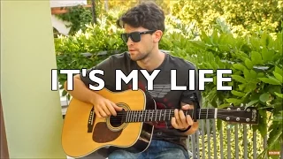 It's My Life - Bon Jovi (INSTRUMENTAL Fingerstyle guitar cover)