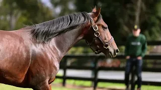 Pebble Beach - Arrives at Alabar