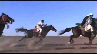 Arabian Horse Tribute - Videos and Pictures