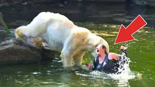 Woman Stuck In A Lake Spots Bear Coming Near Her - WHAT HAPPENED NEXT WILL SHOCK YOU