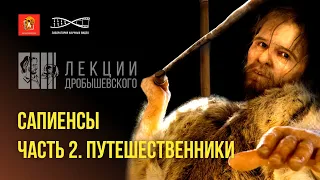 Лекции Дробышевского. Сапиенсы 2. Путешественники