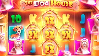 INSANE 1,000x WIN ON DOG HOUSE MULTIHOLD!! (bonus buys)