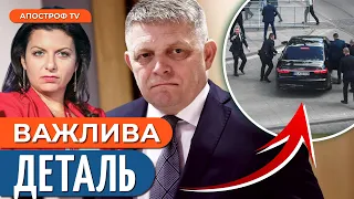 Замах на Фіцо – російська провокація? Дика реакція СИМОНЬЯН на поранення прем'єра | Магда