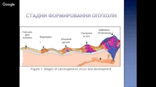 Канцерогенез. 1-ая лекция Курса по ВетОнкологии.  [#YouTube_ветеринарные_курсы]