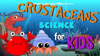 What are Crustaceans | Science for Kids