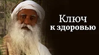 Ключ к здоровью — относиться к воде с почтением. Садхгуру