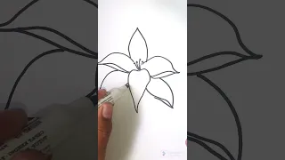 How to Draw Lily Flower