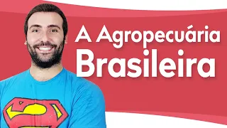 A AGROPECUÁRIA BRASILEIRA: AGRICULTURA + PECUÁRIA - CANÁRIO PRODUTIVO DO CAMPO BRASILEIRO