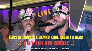 ELVIS AJDINOVIĆ & DEMKO KING, ALBERT & NECA ♫ BUT INJAM ZORALE ♫ LIVE ©2023 (G.G.B PRODUCTION 4K)