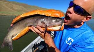 Making Catfish Hoagies!