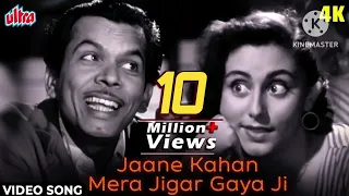 Jaane Kahan Mera Jigar Gaya Ji [4K] Song : Johnny Walker, Mohd Rafi | Mr and Mrs 55 | Evergreen Song