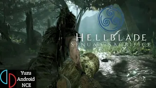 Hellblade Senuas Sacrifice Yuzu Android 266 - Poco X3 Pro Settings