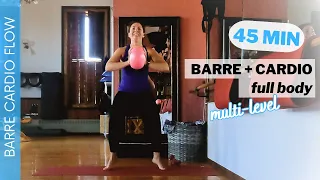 BARRE CARDIO Full Body BLAST | 45 min | Multi-Level | Super Sweaty