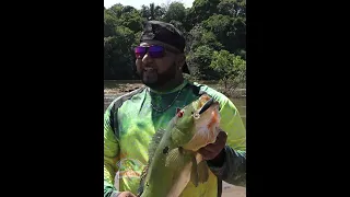 Peacock Bass Fishing in Guyana 🇬🇾 💥💯 -Kurupukari a Fishing Paradise