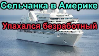 Сельчанка в Америке. Ну что безработный Гена упахался