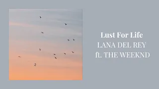 [1 Hour Loop] Lana Del Rey - Lust For Life (feat. The Weeknd)