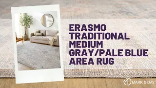 Erasmo Traditional Medium Gray/Pale Blue Area Rug