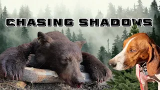 Chasing Shadows: Hound Hunting for Bears