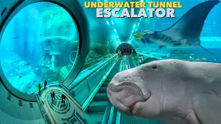 தண்ணீக்குள்ள என்னடா பண்ணி வச்சிருக்கீங்க Underwater Tunnel Escalator