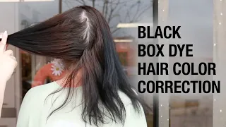 Black Box Dye Hair Color Correction Tutorial | Expensive Brunette Look | Kenra Color