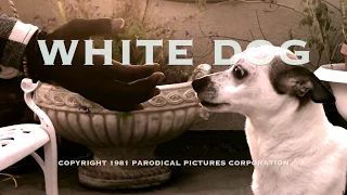 White Dog (1982) Parodical Trailer