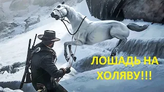 Гайд как получить бесплатно легендарную арабскую лошадь в РДР2!!!