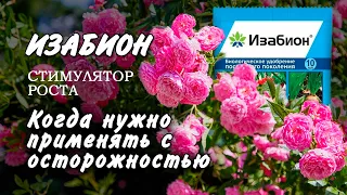 Изабион применение. Когда Изабион может навредить?