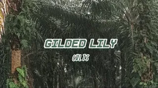 Gilded lily - Cults lyrics