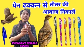 तीतर  जैसा  आवाज  निकाले  पेन  से || Teetar jaisa Awaaz nikaalne pen se || shobha Birhor part 3