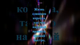 ТВЕН: «Жизнь слишком коротка, так что нарушай правила, про…» #афоризмы #цитаты #мудрыемысли