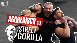 AGGREDISCO GLI STREETGORILLA || Manuel Spadaccini