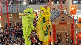 Acrobatic Lion Dance. Midvalley.  18th Feb 2024