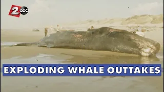 Exploding Whale Bonus Footage - Alternate Angle and Unseen Video! | KATU In The Archives