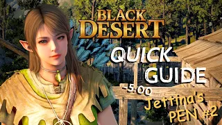 Black Desert Quick Guide - Jettina's Boss Armor PEN V Guaranteed [UPDATED]
