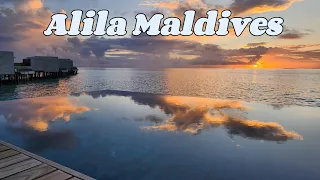 Alila Kothaifaru Maldives| Overwater Villa & Beach Villa Room Tour| Hyatt| 马尔代夫| 阿里拉 | 水屋 | 沙屋