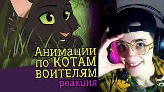 СМОТРИМ MAP АНИМАЦИИ ПО КОТАМ-ВОИТЕЛЯМ 2 | Реакция | Обзор аниматора на веб-анимацию #37