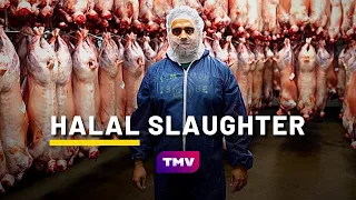 What is HALAL SLAUGHTER? (QURBANI) | Halal Meat Farm 🐑 | Being Muslim