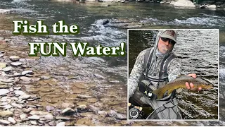 Pocket Water Nymphing:  The Ultimate Springtime Trout Game!