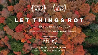 LET THINGS ROT (Spanish Subtitles)