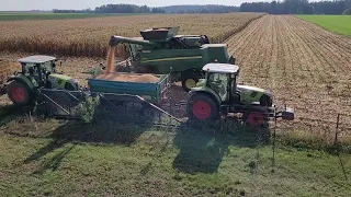 Żniwa kukurydzy 2023