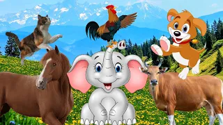 CUTE ANIMALS MOMENTS : Horse Cow Cat Dog Elephant Chicken