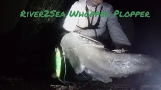 Wels Catfish - The Magic of Wels Catfish Spinning