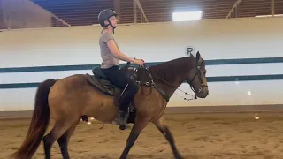 Learning to Ride A Tennessee Walking Horse - Flat Walk and Running Walk -Dancer