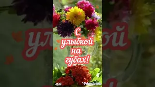 Пусть добрым утро станет... Музыкальная открытка.