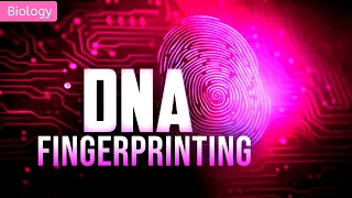 The Science Behind DNA FINGERPRINTING || ANIMATION || Class 11 @PW-NEETWallah